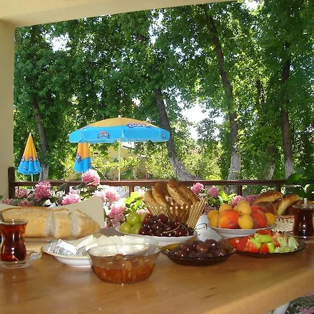 Villa Begonville *